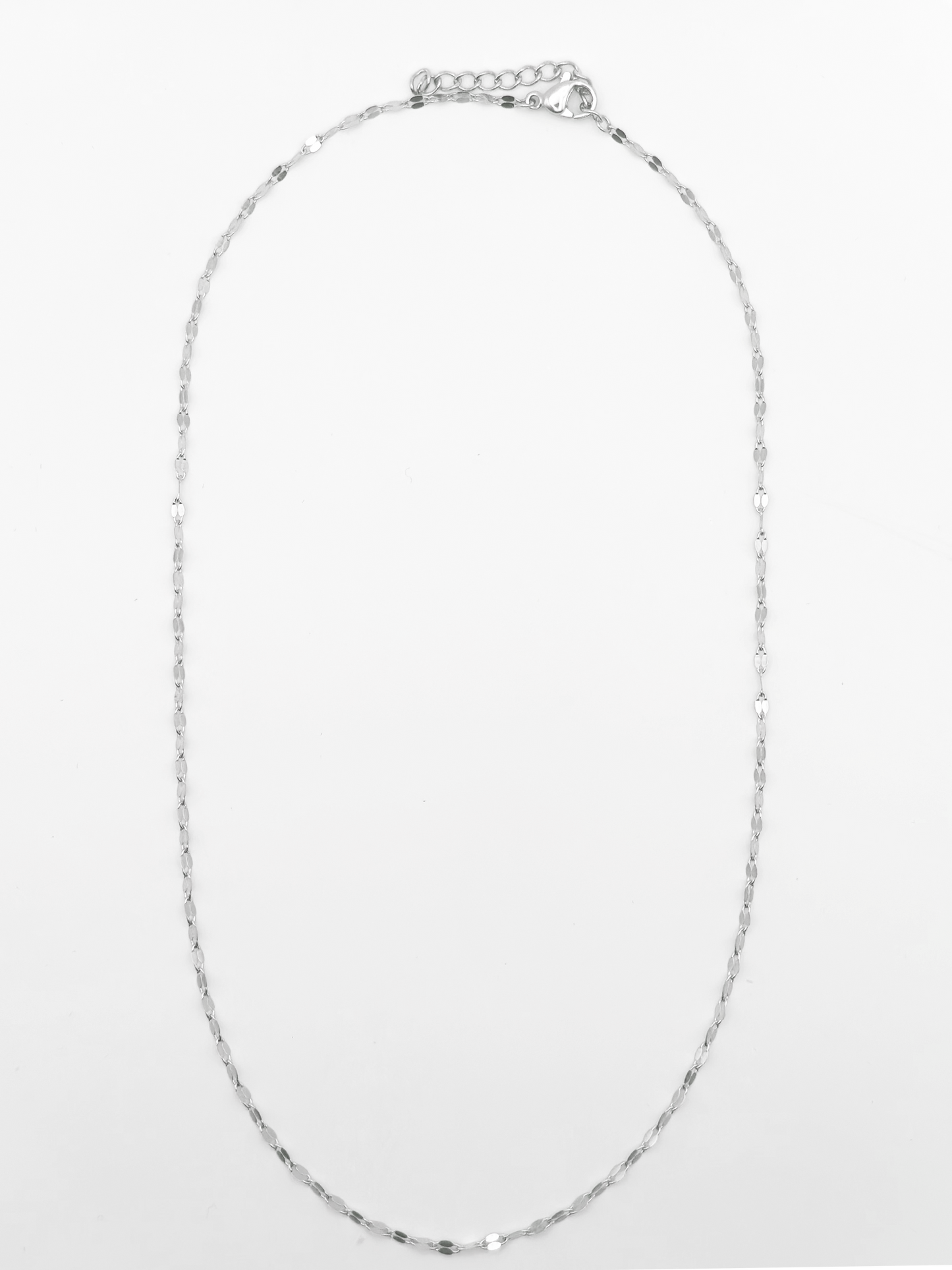 Barely There Fine Chain