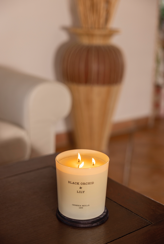 Black Orchid & Lily 3 Wick Candle