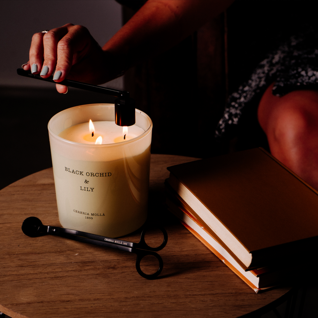 Santal & Tonka Classic Candle 8 OZ main image 1