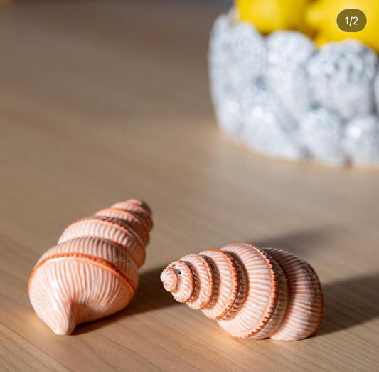 Cockle Salt & Pepper Set