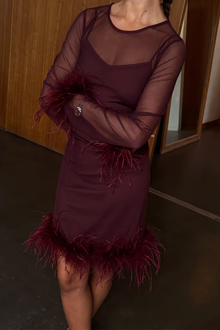 Burgundy Mesh Feather Mini Dress
